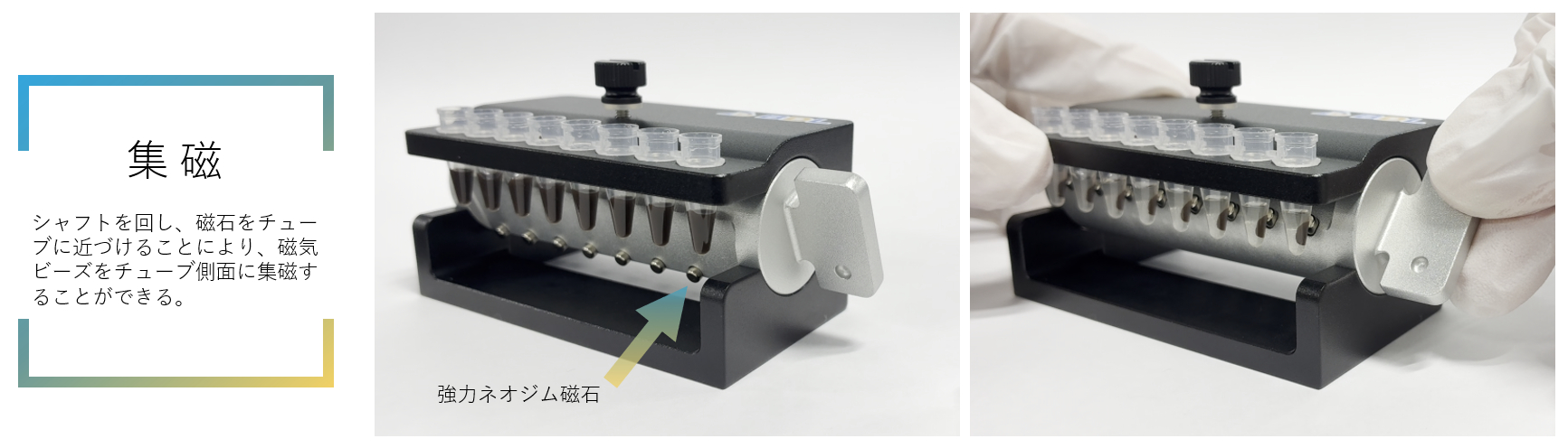 Magtrap-Pを用いた磁気ビーズの回収