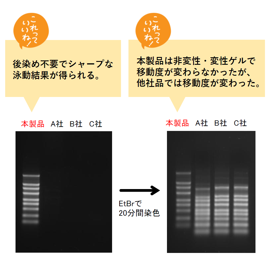 RNA Ezloading Dyeと他社類似品との比較